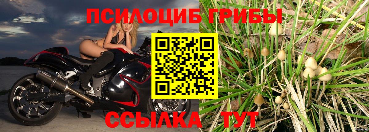 Псилоцибиновые грибы MAGIC MUSHROOMS Черкесск