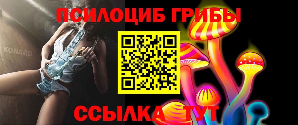 закладка  Вход с VPN  Черкесск  Галлюциногенные грибы мицелий 